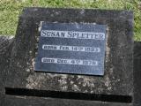 image of grave number 934237